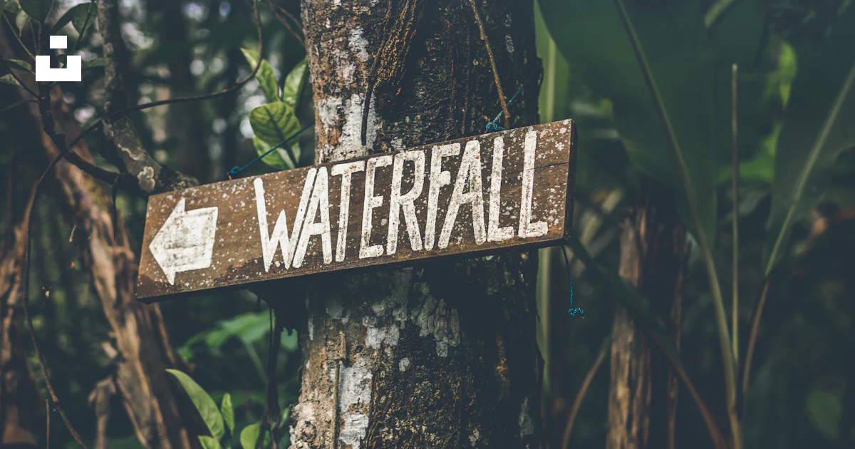 Brown and white wooden waterfall sign on brown tree stem photo – Free ...