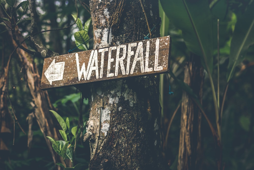 brown and white wooden waterfall sign on brown tree stem