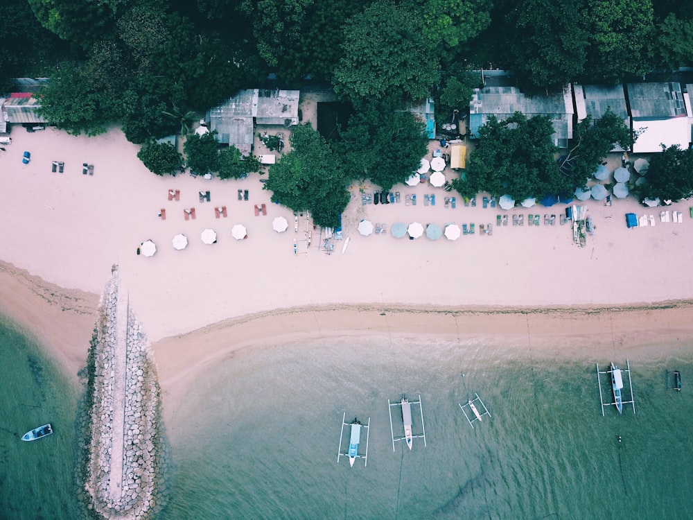 beach surrounded by trees and boats on ocean during daytime