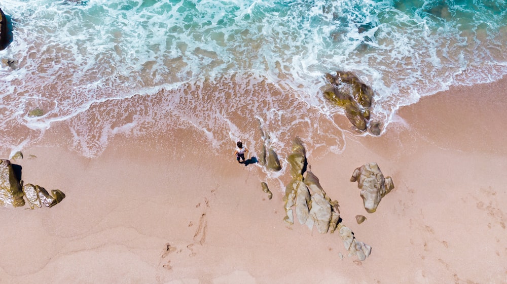 aerial photography of beach