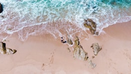 aerial photography of beach