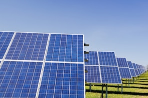 A field of solar panels arranged in rows under a clear blue sky, capturing sunlight to convert into energy. The panels are mounted on metal structures above a grassy area.