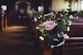 selective photo of pink petaled flower