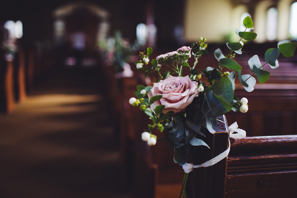 selective photo of pink petaled flower