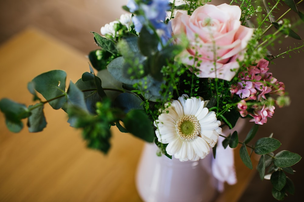 selektives Fokusfoto von rosa und weißer Gänseblümchenblume in Vase