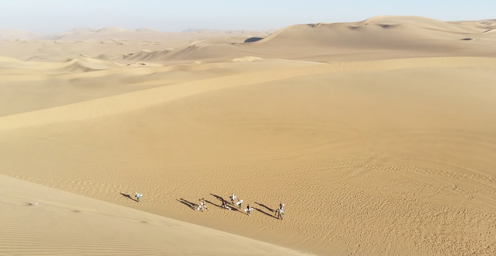 Gente caminando en el desierto