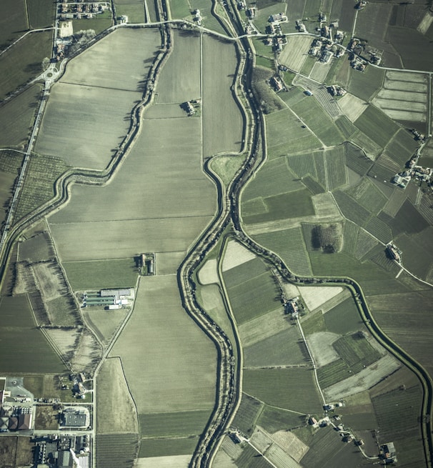 satellite image of agricultural lands