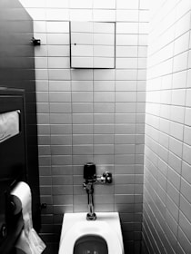 A monochrome photograph displaying a public restroom stall featuring a toilet with a flushometer, a wall-mounted toilet paper holder with a visible roll, and a small square mirror mounted on a tiled wall.