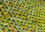 close-up photo of green shingle roof
