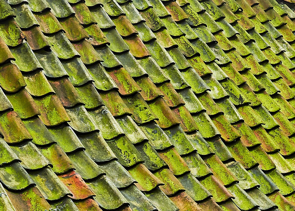 緑の鉄片屋根のクローズアップ写真