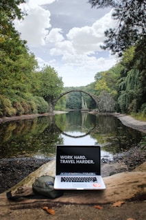 silver MacBook Pro on brown wood log
