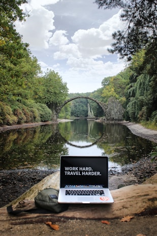 silver MacBook Pro on brown wood log