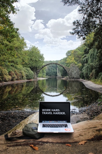 silver MacBook Pro on brown wood log