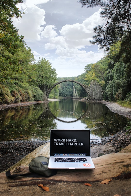 silver MacBook Pro on brown wood log in Kromlauer park Germany