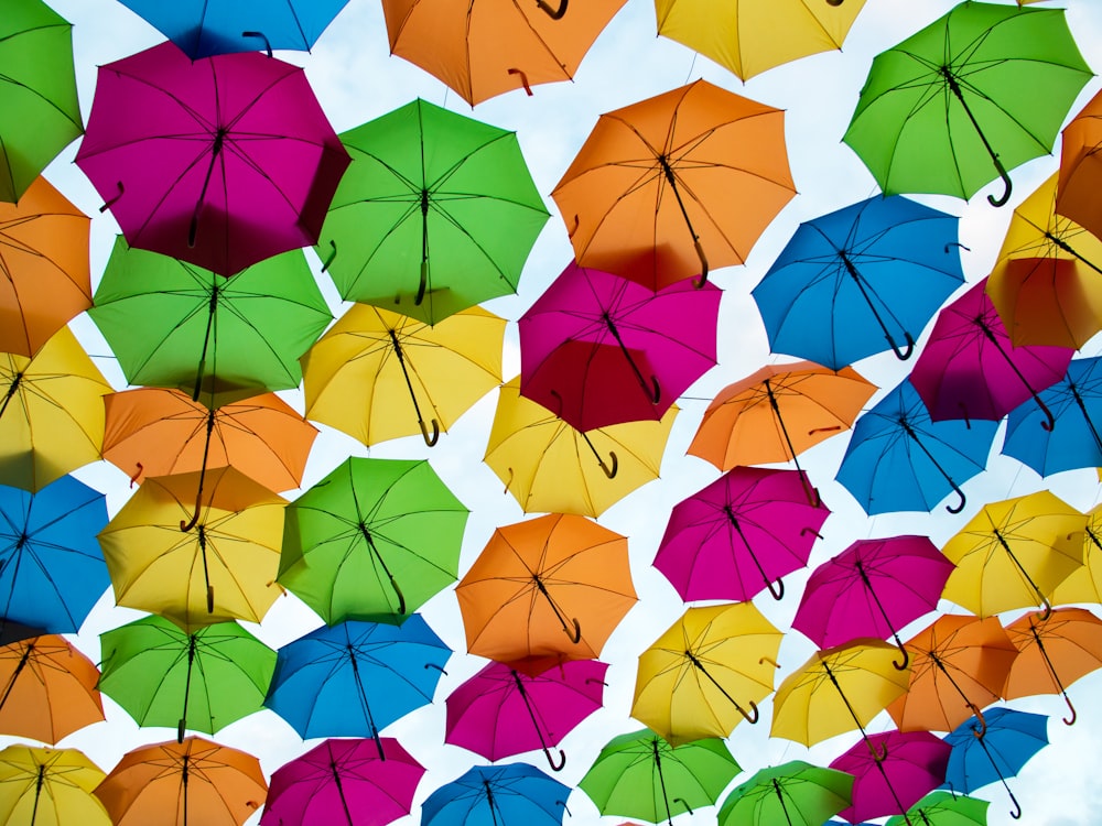 Fotografie von Regenschirmen aus der Wurmperspektive