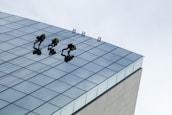 Three people are engaged in window cleaning or maintenance on the side of a tall, modern glass building. They are using ropes and harnesses for safety as they perform their tasks. The building features a grid of reflective glass panels.