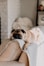 fawn pug lying on gray blanket