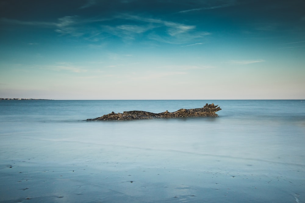 brown island on body of water