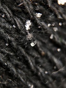 A close-up view of a textured black surface with small white debris scattered across it. The intricate details of the surface resemble fibers or strands, while the white particles appear to be small flakes or dust particles.