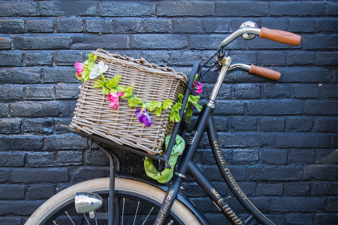 black city bicycle,