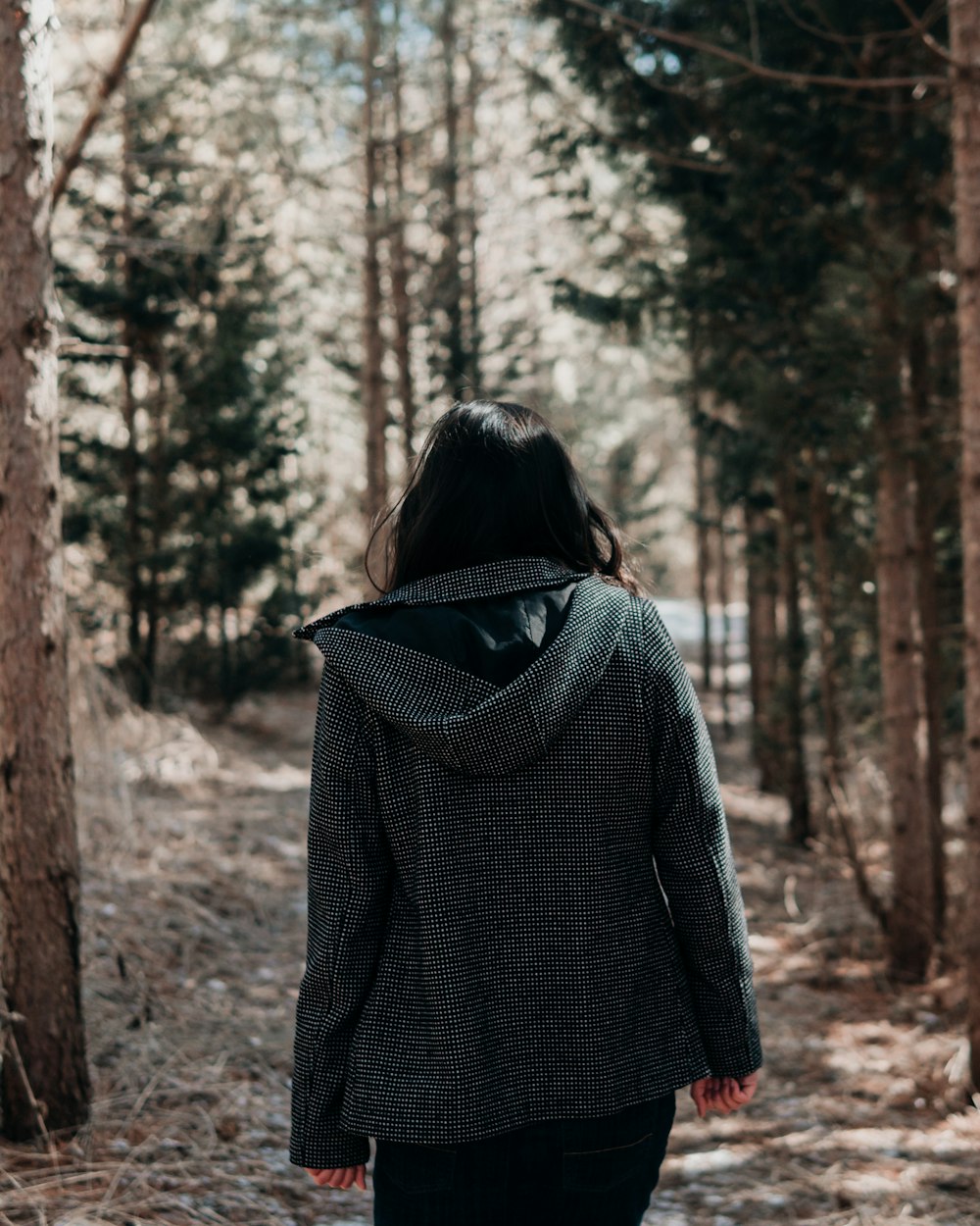 person walking on forest with pine trees