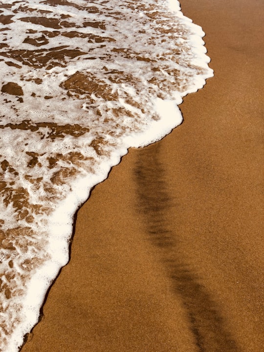 photo of Carlsbad Beach near Windansea Beach