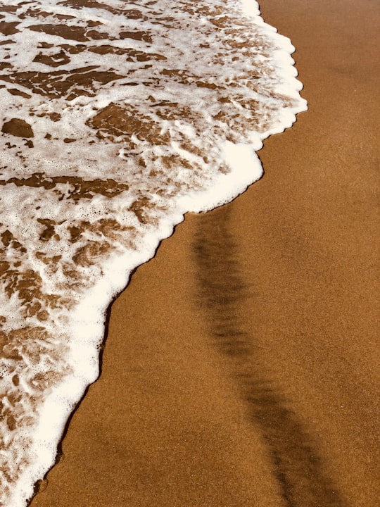 sea shore in Carlsbad United States