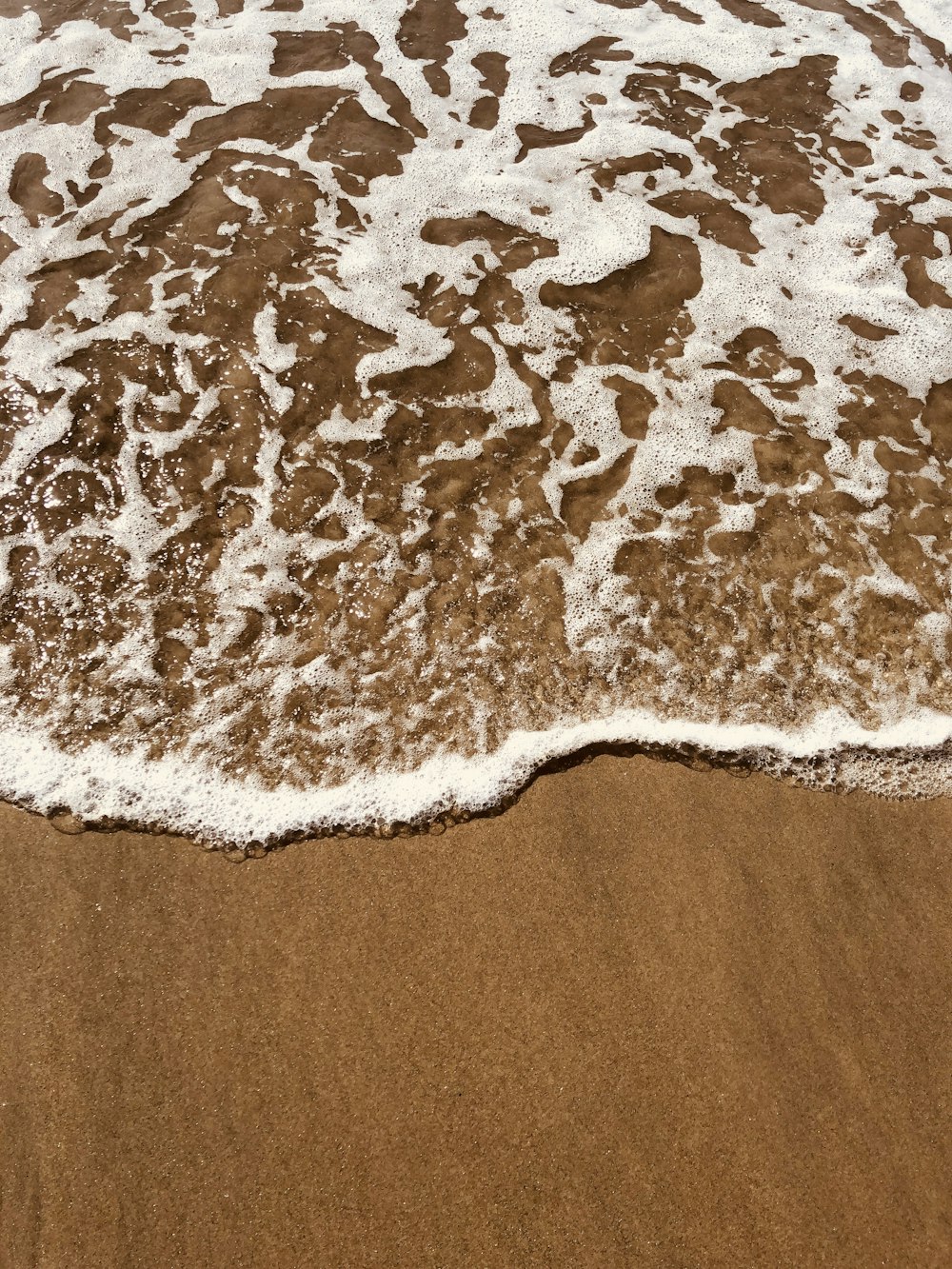 beach shore with ocean wave