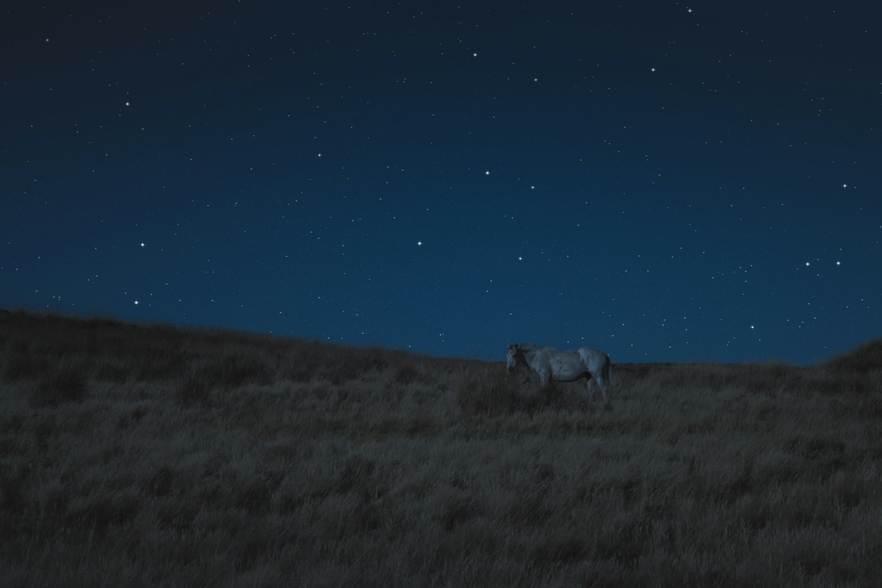 Cost-effectively Wildfire Grazing Steep Ground With Lava Flows (Talus Field) by Wild Horses