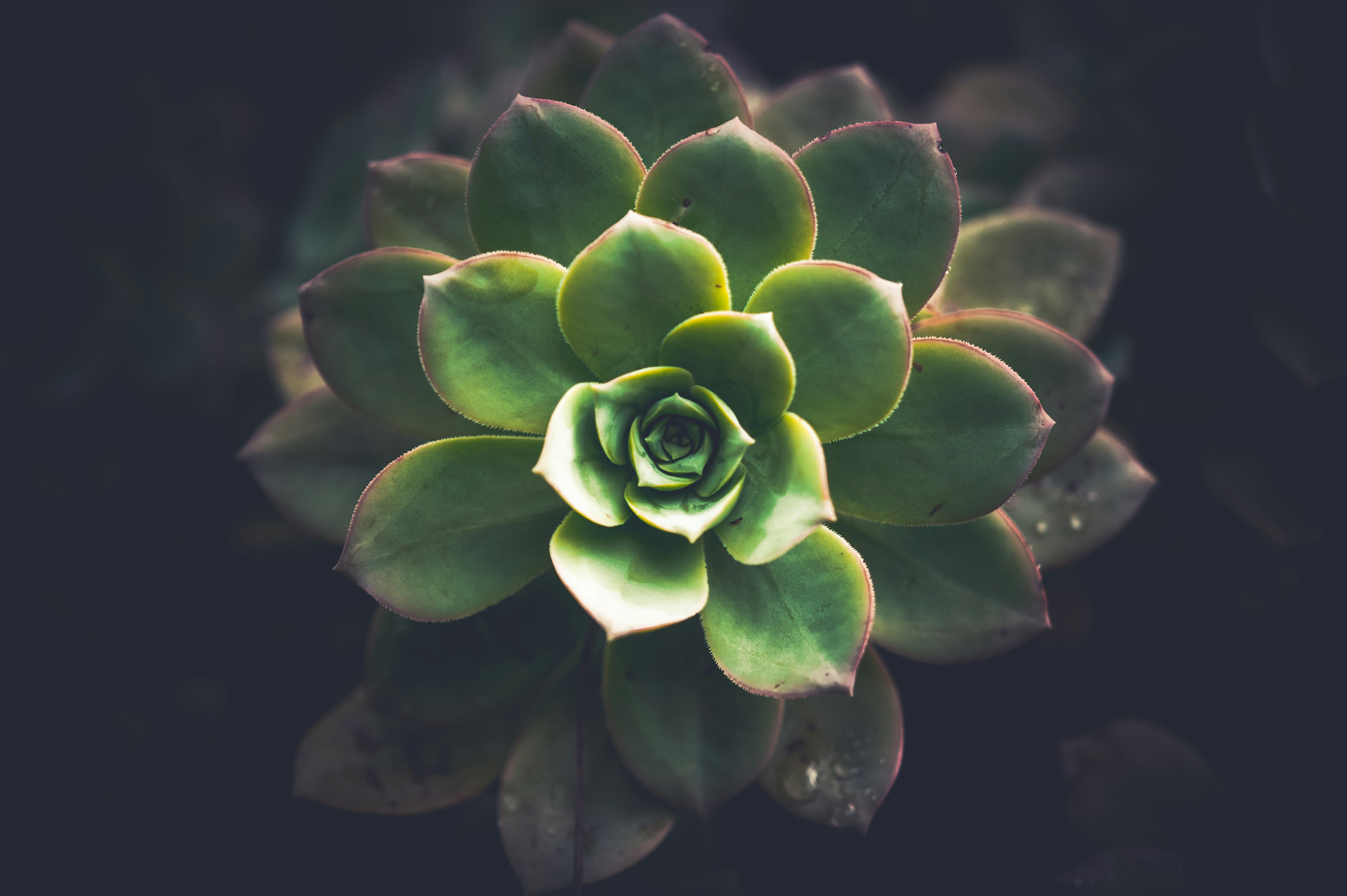 Photo by cosmictimetraveler