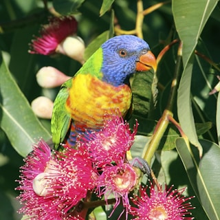A colorful parrot perched on a branch surrounded by tropical flowers