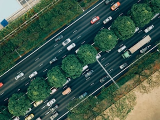 Vista aérea de una autopista, destacando los beneficios del seguro de automóvil de Escelsior.