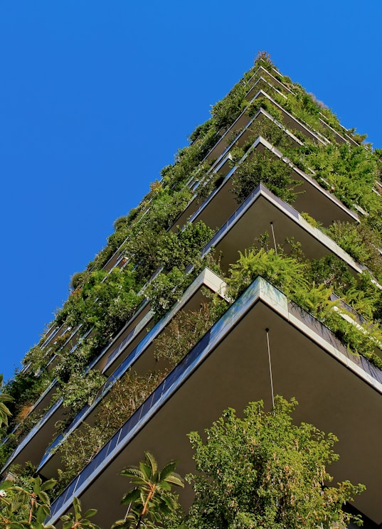 low angle photography of building