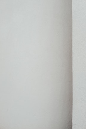An abstract photo of a blank white wall with soft shadows.