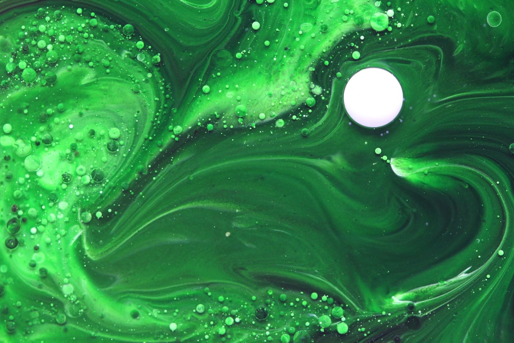 green and white abstract photo