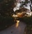 A serene garden pathway lined with lush greenery and colorful flowers under soft sunlight.