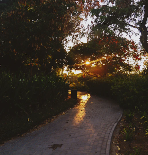 A serene garden path winding through lush greenery under soft morning light.