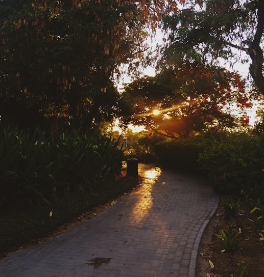 A serene, meticulously maintained garden with lush greenery and elegant pathways under soft golden light.
