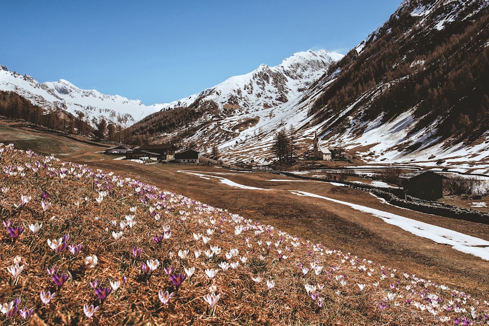 mountains near road during daytime