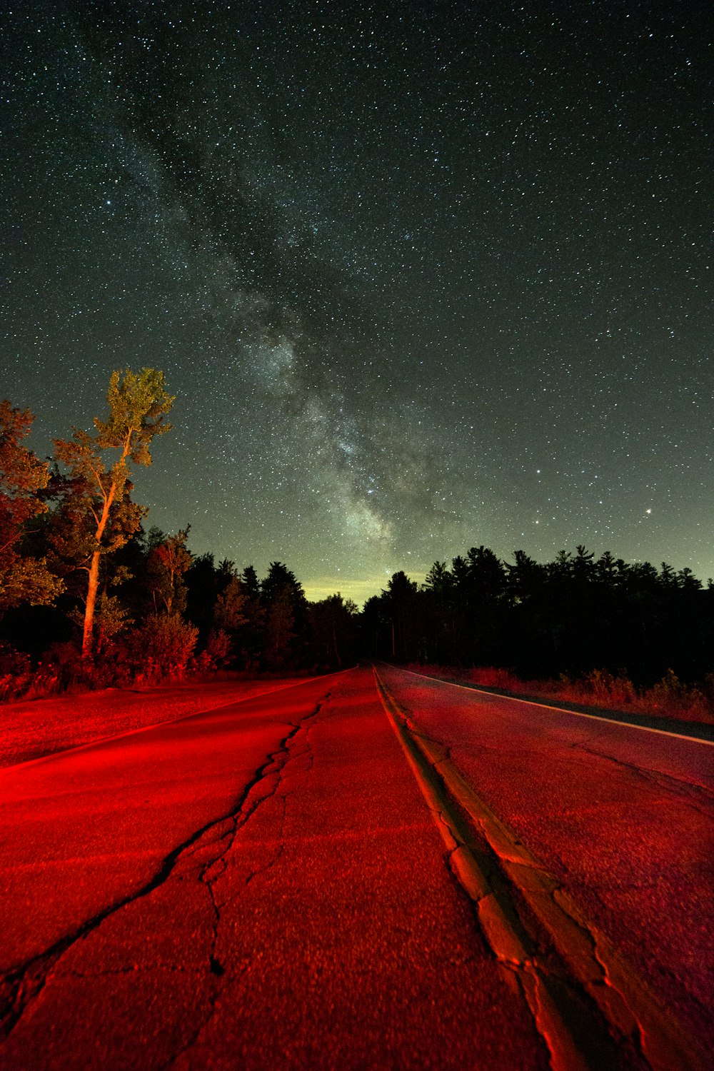 route droite en béton gris près de grands arbres sous des étoiles blanches la nuit