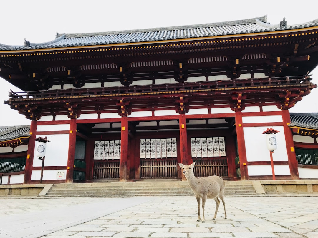 travelers stories about Temple in Tōdai-ji, Japan