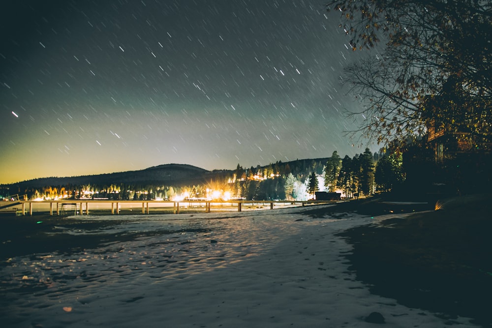 trees and houses near body of water during nighttime