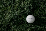 white Maxfu 2 golf ball on green grass