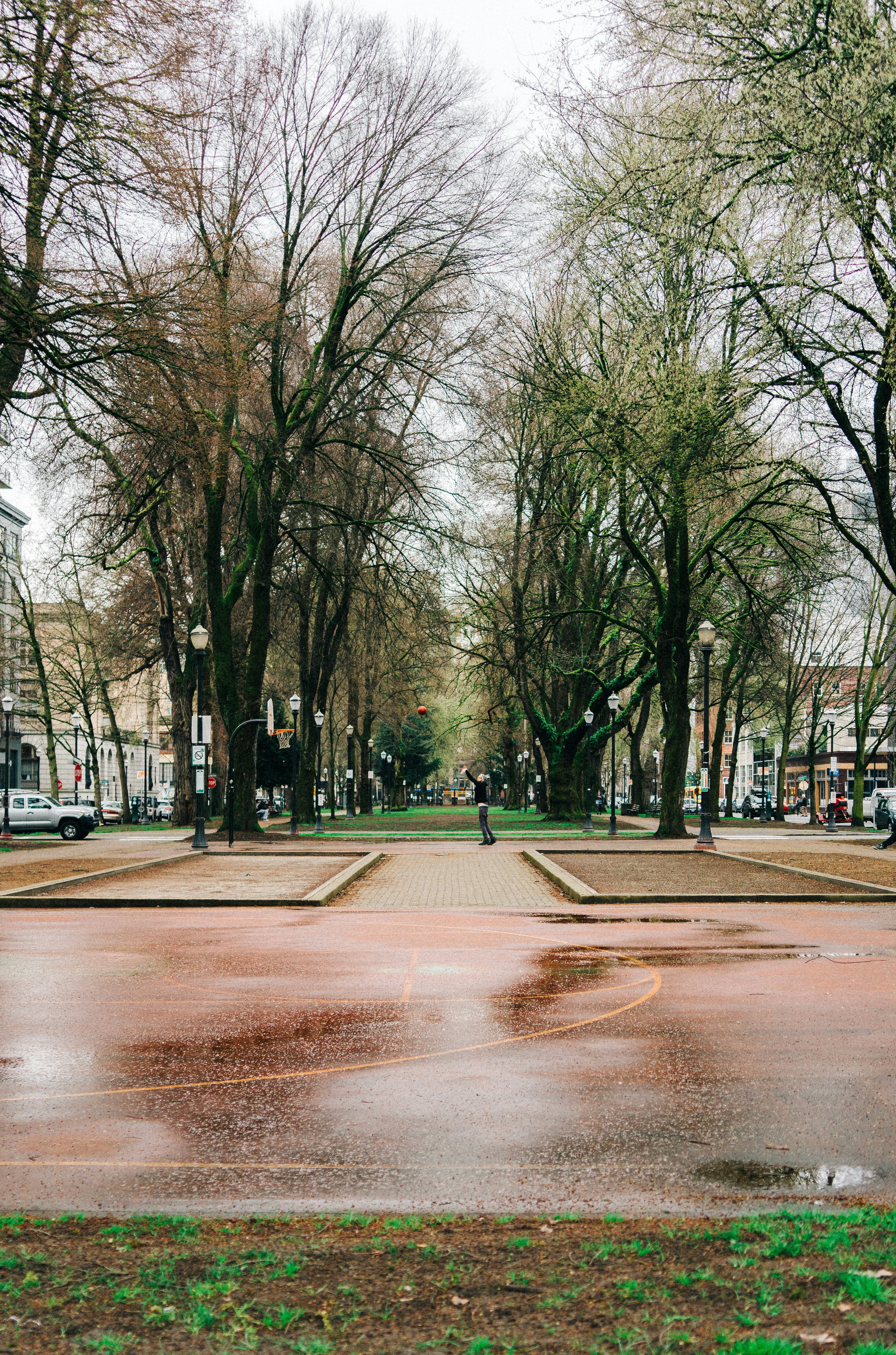 Park Trees Portland And Pdx Hd Photo By Mike Marquez