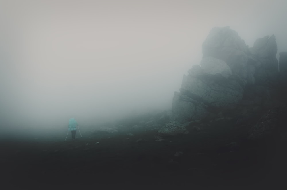 person standing beside gray rock formation