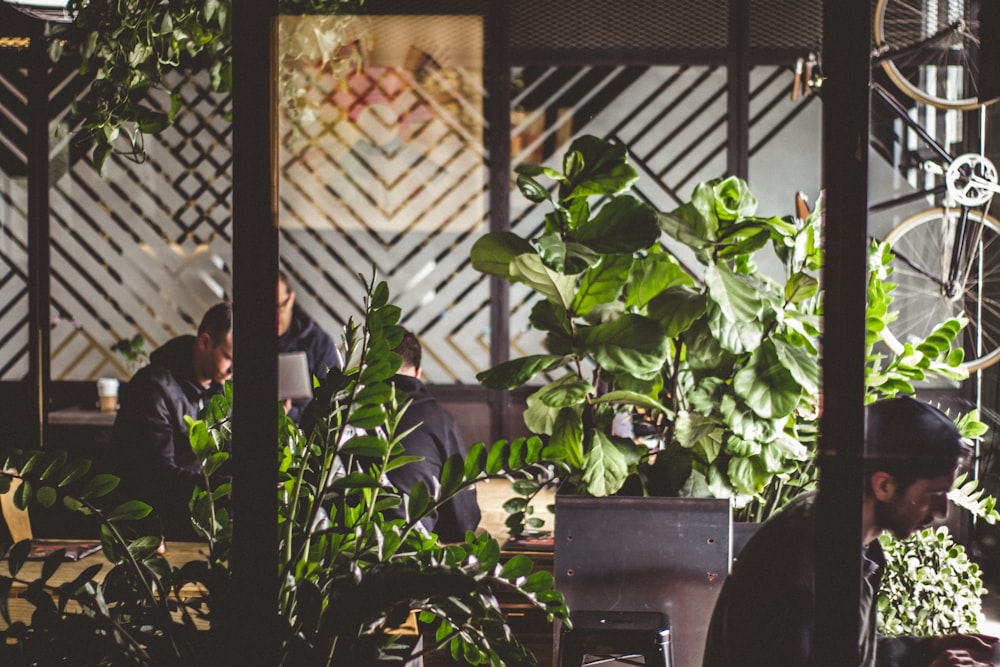 several men in room beside green potted plants