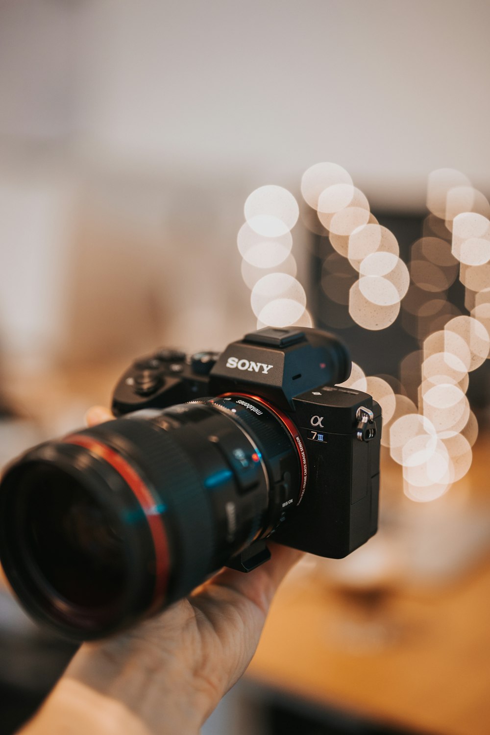 person holding black Sony DSLR camera