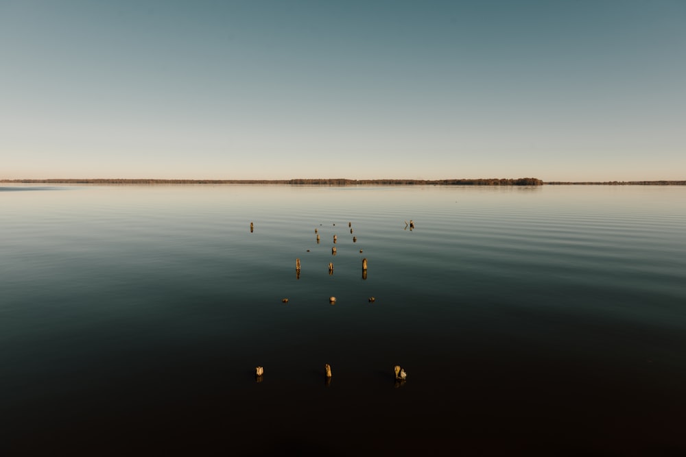 Mar azul durante el día