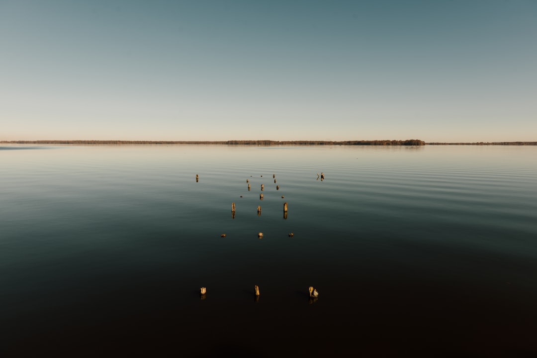 Lake photo spot Reelfoot Lake State Park United States