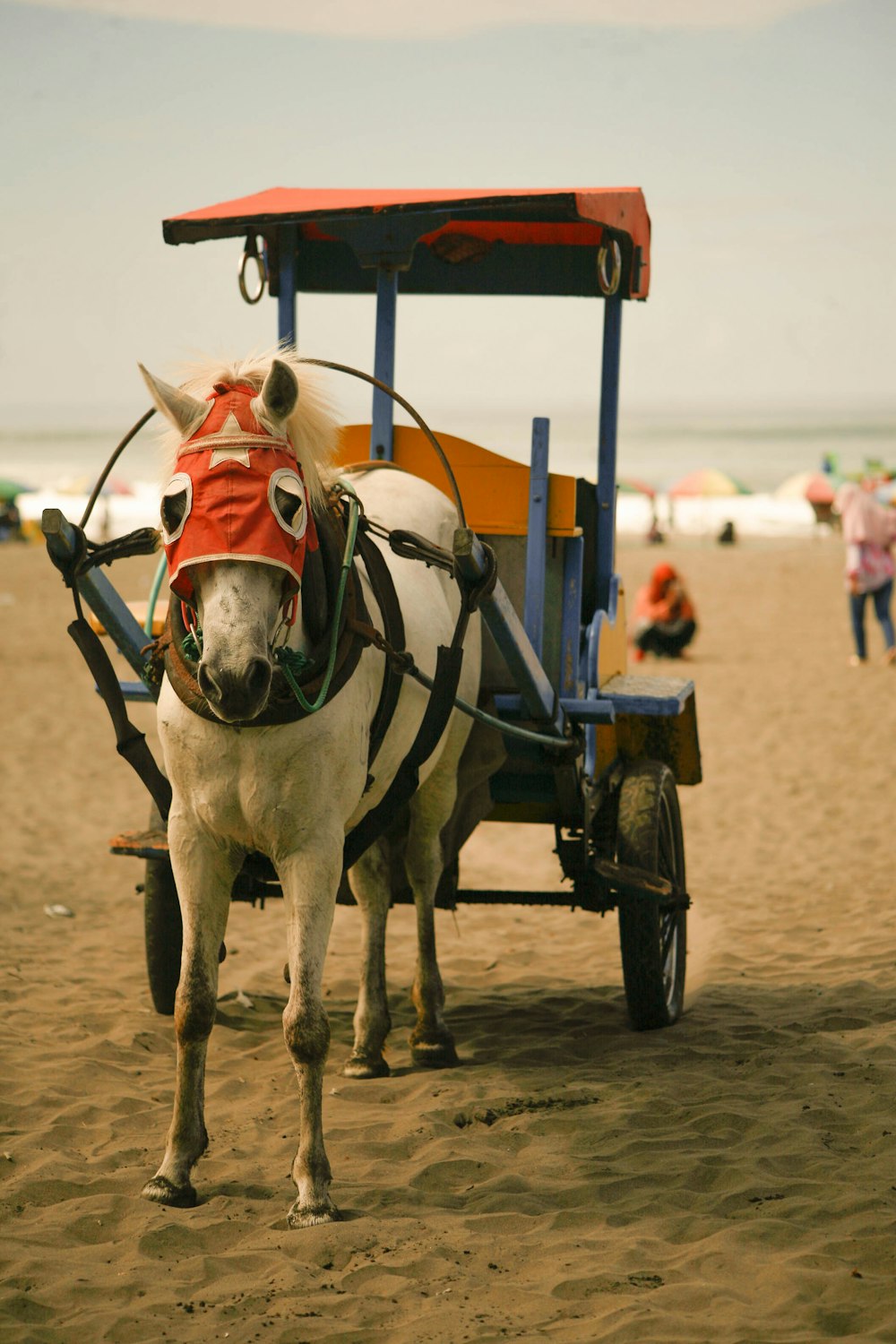 white horse carrying cartridge on desert during daytime